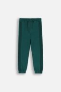 COCCODRILLO joggers ACADEMY BOY JUNIOR, roheline, ZC4120103ABJ-011-164, 164 cm