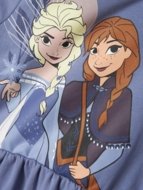 NAME IT FROZEN pikkade varrukatega kleit, 13247015 128