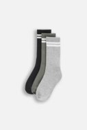 COCCODRILLO sokid SOCKS BOY, värviline, cm