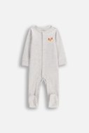 COCCODRILLO püksikud FOREST FRIENDS BOY NEWBORN, hall, cm