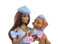 BARBIE stiilsed sõbrad - Brünett nukk, JFP38