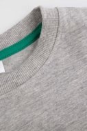 COCCODRILLO t-särgid EVERYDAY BOY A, hall, cm