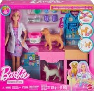 BARBIE Loomaarsti mängukomplekt nukuga, JFX93