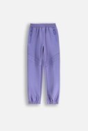 LEMON püksid ACTIVE GIRL, lilla, WL5120101ACG-016-164, 164