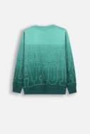 COCCODRILLO t-shirt ACADEMY BOY JUNIOR, multicoloured, ZC4143103ABJ-022-164, 164 cm