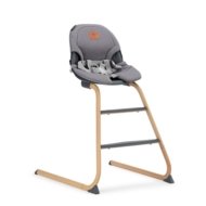 BABYTROLD söögitool FIA 2in1, Grey, H-5+G