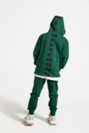 COCCODRILLO hoodie EVERYDAY BOY A, roheline, ZC4132301VBA-011-152, 152 cm