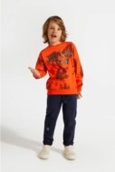 COCCODRILLO t-shirt DIGITAL BOY KIDS, punased, ZC4143102DBK-009-122, 122 cm