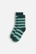 COCCODRILLO sokid SOCKS BOY, värviline, cm