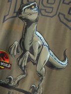 NAME IT JURASSIC WORLD t-särk, 13247257-817A65 134-140 cm