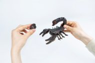 MAKEBUG 3D paberist pusle Forest scorpion, MB-D-0053
