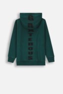 COCCODRILLO hoodie EVERYDAY BOY A, roheline, ZC4132301VBA-011-152, 152 cm
