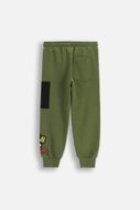 COCCODRILLO püksid SPORTS BOY KIDS, roheline, cm