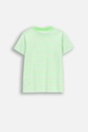 COCCODRILLO short sleeved t-shirt, green, WC6143232VBA-011-104, 104 size