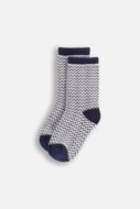 COCCODRILLO sokid SOCKS BOY, värviline,