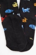 COCCODRILLO sokid SOCKS BOY, värviline,