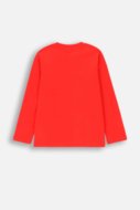 COCCODRILLO t-shirt EVERYDAY BOY A, punased, ZC4143101VBA-009-152, 152 cm