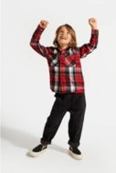 COCCODRILLO long sleeved shirt ACADEMY BOY KIDS, värvilised, ZC4136101ABK-022-098, 98 cm