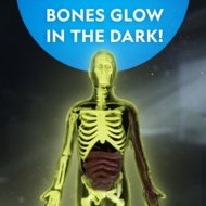 NATIONAL GEOGRAPHIC komplekt Glow in the Dark Human Body, RTHUMBODY