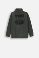 COCCODRILLO sweatshirt GRUNGE SWAMP BOY JUNIOR, roheline, ZC4132202GBJ-011-164, 164 cm