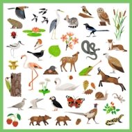 DJECO kleepsukomplekt Fauna (160 tk), DJ09285