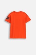 COCCODRILLO t-särk SPORTS BOY JUNIOR, punane, cm