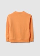 OVS pusa, cm, 002554822