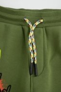 COCCODRILLO püksid SPORTS BOY KIDS, roheline, cm