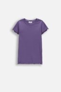 COCCODRILLO lühikeste varrukatega t-särk, lillad, cm