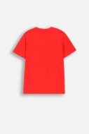 COCCODRILLO t-shirt EVERYDAY BOY A, punased, ZC4143206VBA-009-152, 152 cm