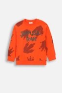 COCCODRILLO t-shirt DIGITAL BOY KIDS, punased, ZC4143102DBK-009-122, 122 cm