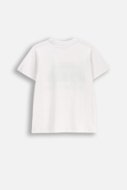 COCCODRILLO lühikeste varrukatega t-särk, valged, WC6143205VBB-001-164, 164 suurus