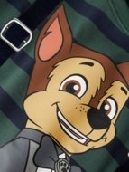 NAME IT PAW PATROL t-särk, 13249611-395551 110 cm