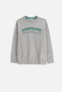 COCCODRILLO t-särgid EVERYDAY BOY A, hall, cm