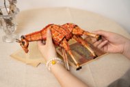 MAKEBUG 3D paberist pusle Giraffe, MB-B-0011