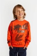 COCCODRILLO t-shirt DIGITAL BOY KIDS, punased, ZC4143102DBK-009-122, 122 cm