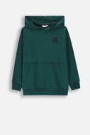 COCCODRILLO hoodie EVERYDAY BOY A, roheline, ZC4132301VBA-011-152, 152 cm
