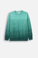 COCCODRILLO t-shirt ACADEMY BOY JUNIOR, multicoloured, ZC4143103ABJ-022-164, 164 cm