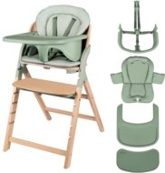 LIONELO söögitool MEGAN, Green wood