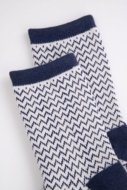 COCCODRILLO sokid SOCKS BOY, värviline,