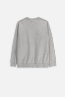 COCCODRILLO t-särgid EVERYDAY BOY A, hall, cm
