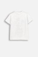 COCCODRILLO lühikeste varrukatega t-särk, valged, WC6143205LBD-001-104, 104
