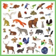 DJECO kleepsukomplekt Fauna (160 tk), DJ09285