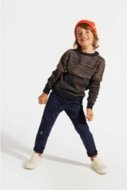 COCCODRILLO sweater DIGITAL BOY KIDS, multicoloured, ZC4172101DBK-022-122, 122 cm