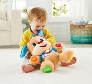 FISHER-PRICE Smart Stages Brother Naera ja õpi, FPP16