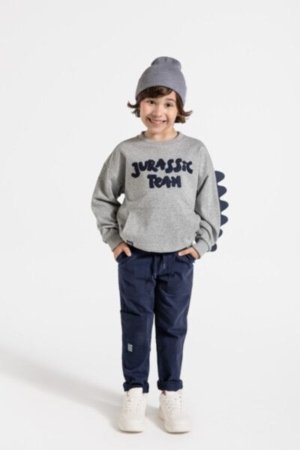 COCCODRILLO sweatshirt DIGITAL BOY KIDS, hall, ZC4132101DBK-019-122, 122 cm 