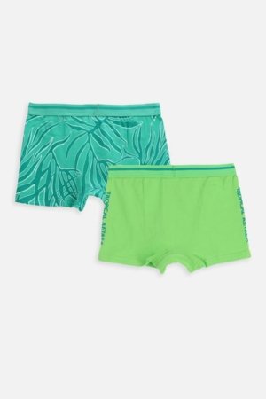 COCCODRILLO aluspüksid-bokserid, värvilised, suurus 