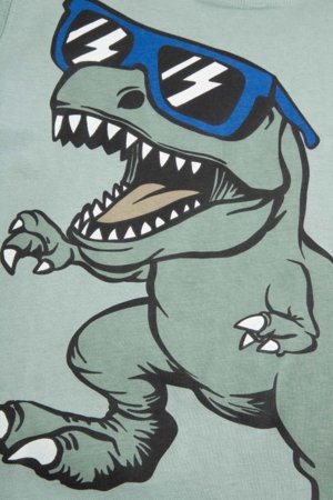 COCCODRILLO lühikeste varrukatega t-särk, rohelised, cm 