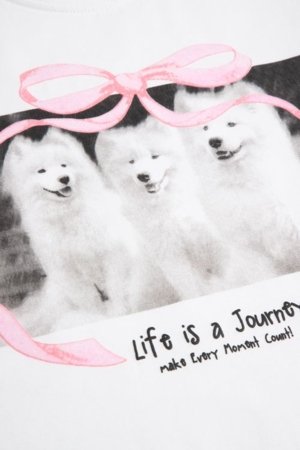 COCCODRILLO lühikeste varrukatega t-särk, valged, WC6143206FGJ-001-158, 158 suurus 