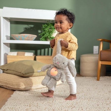 INGENUITY rahustav pehme mänguasi Sylvi Cuddle Pal soother, 17308 